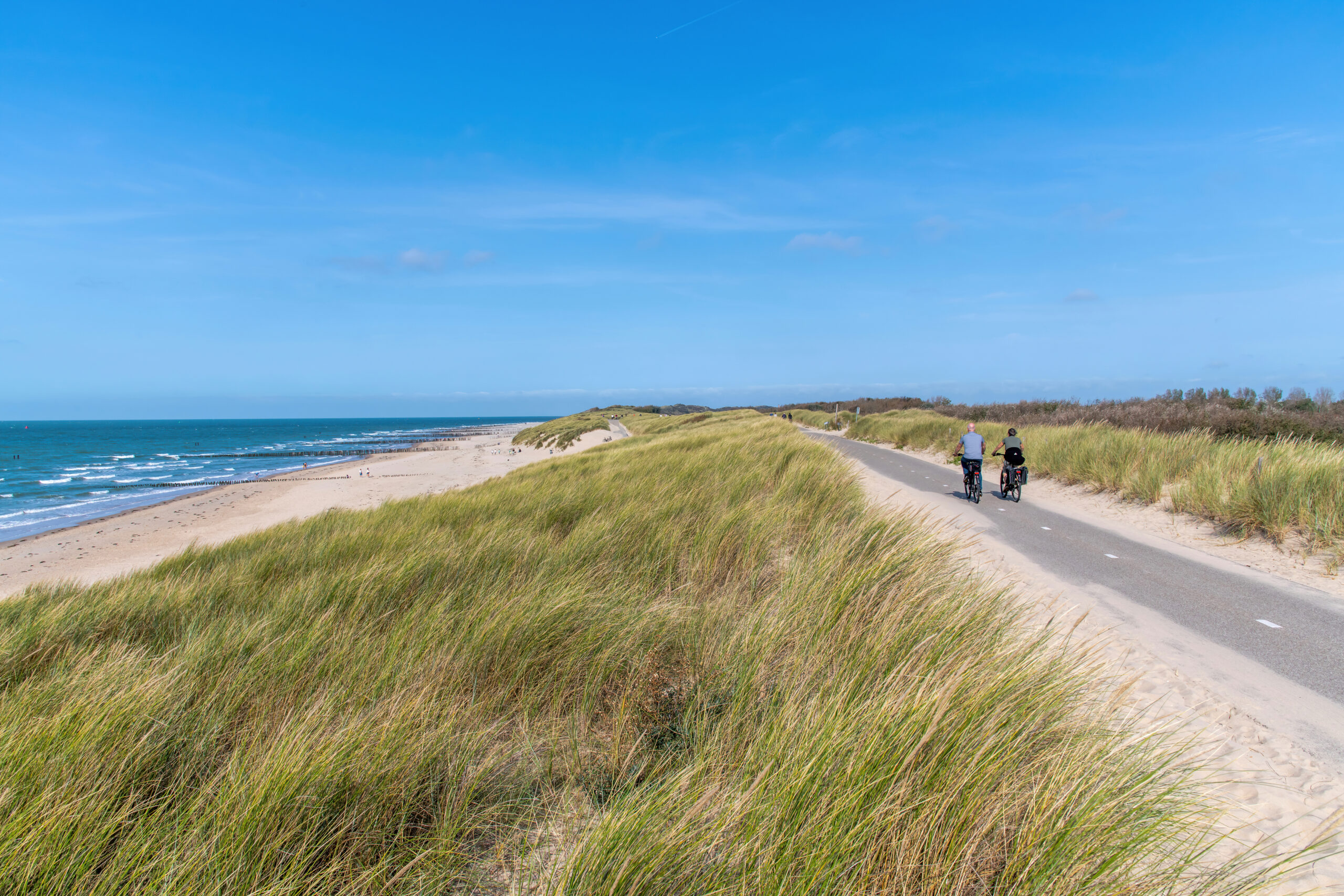 Gemeentes Bloemendaal en Heemstede kiezen voor Vicrea